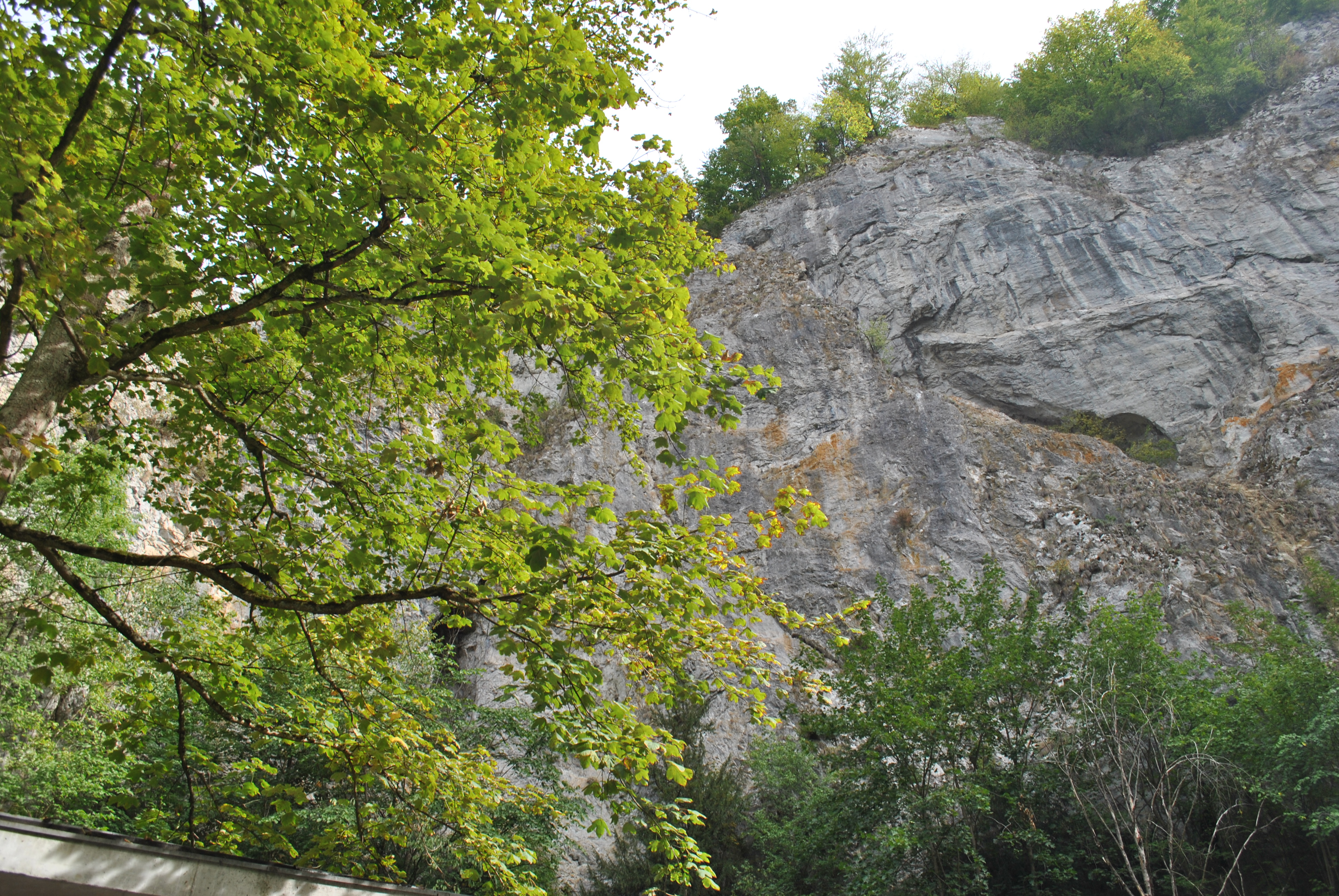 DSC_0034 (1)